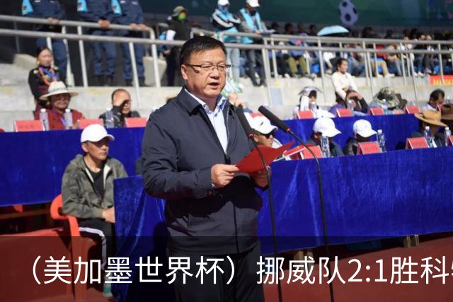 （美加墨世界杯）挪威队2:1胜科特迪瓦队 时隔28年重返16强